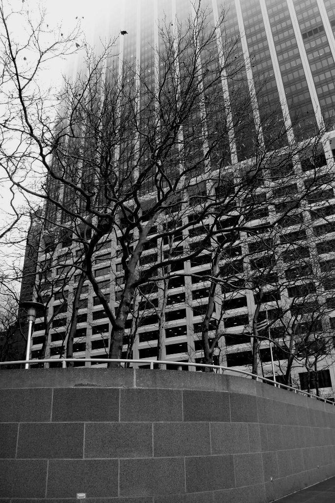 [Raminhos...nus....JPG]