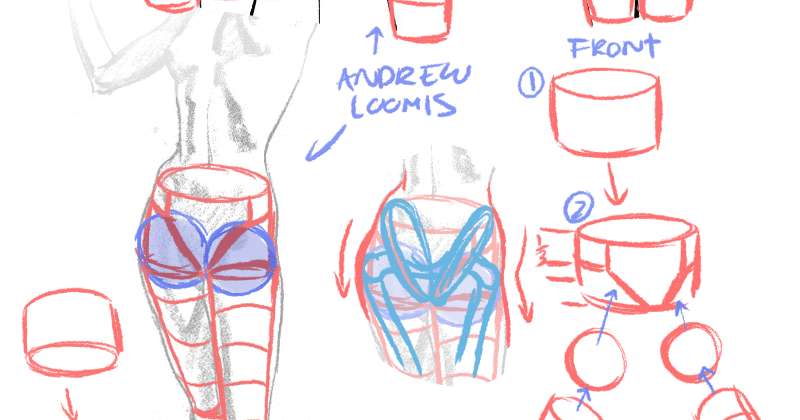 Rad how to: Simple cartoon pelvis