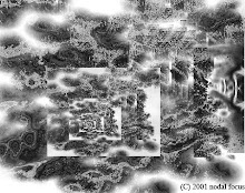 Fractal wood