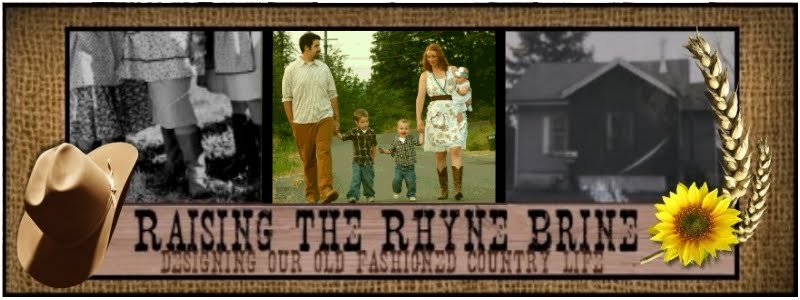 Raising the Rhyne Brine
