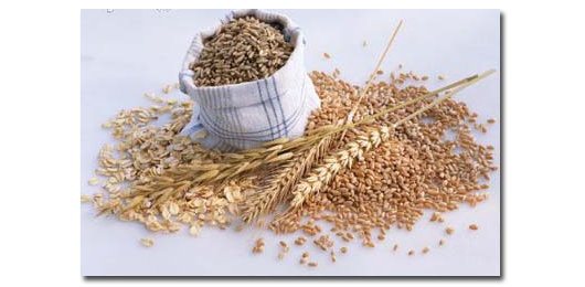 [graos-integrais.png]