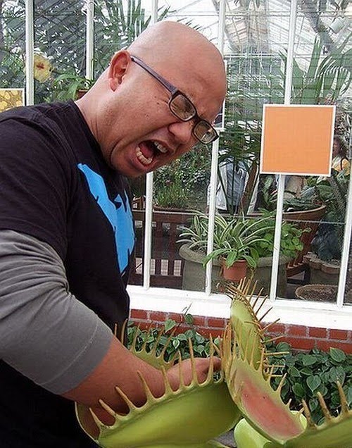 Nature Wonder Dangerous Flesh Eating Plants