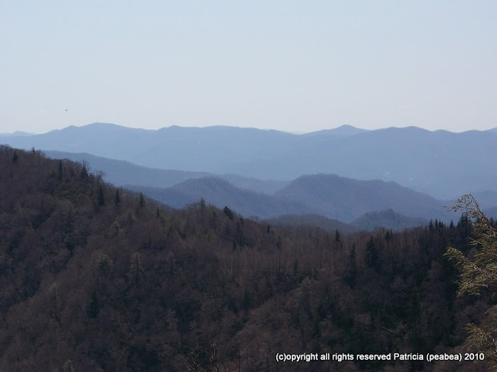 Tennessee Mountains