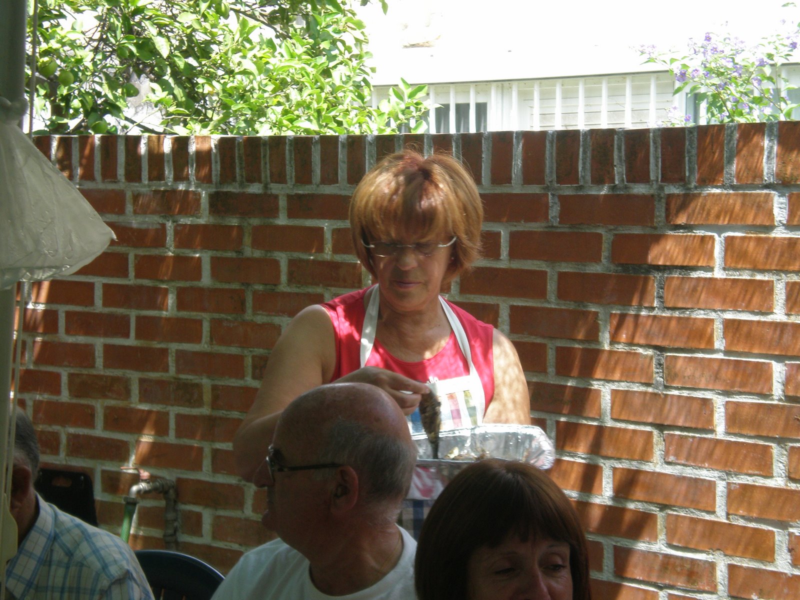 [P8010078.JPG]