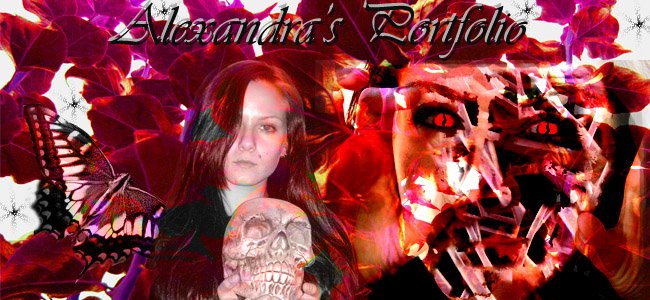 Alexs' Portfolio