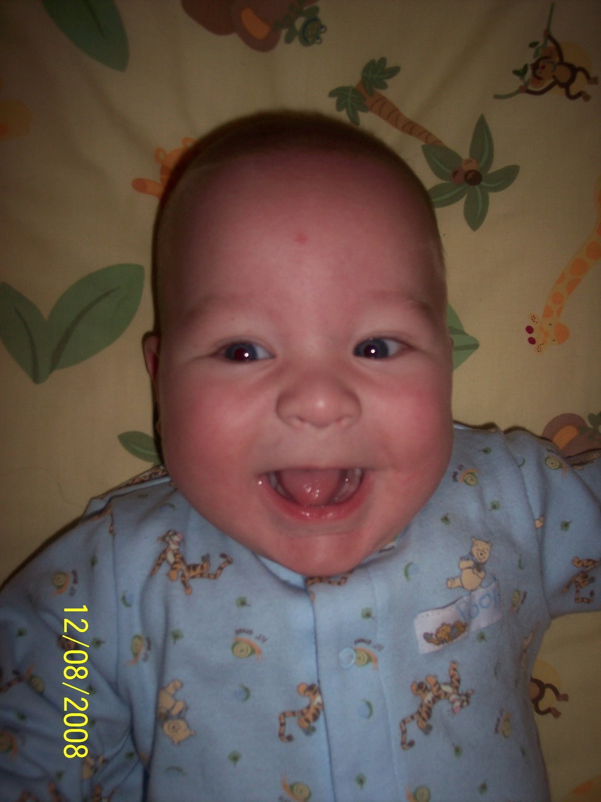 [Dylan+Dec+2008+Picture+Folder+009.jpg]