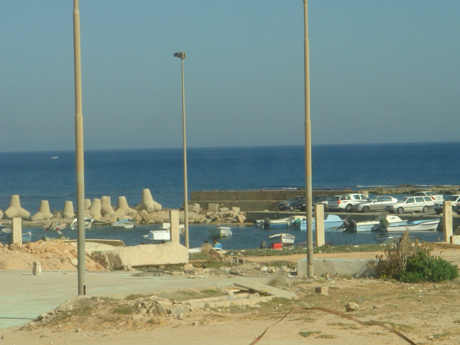 [DSC03446.JPG]