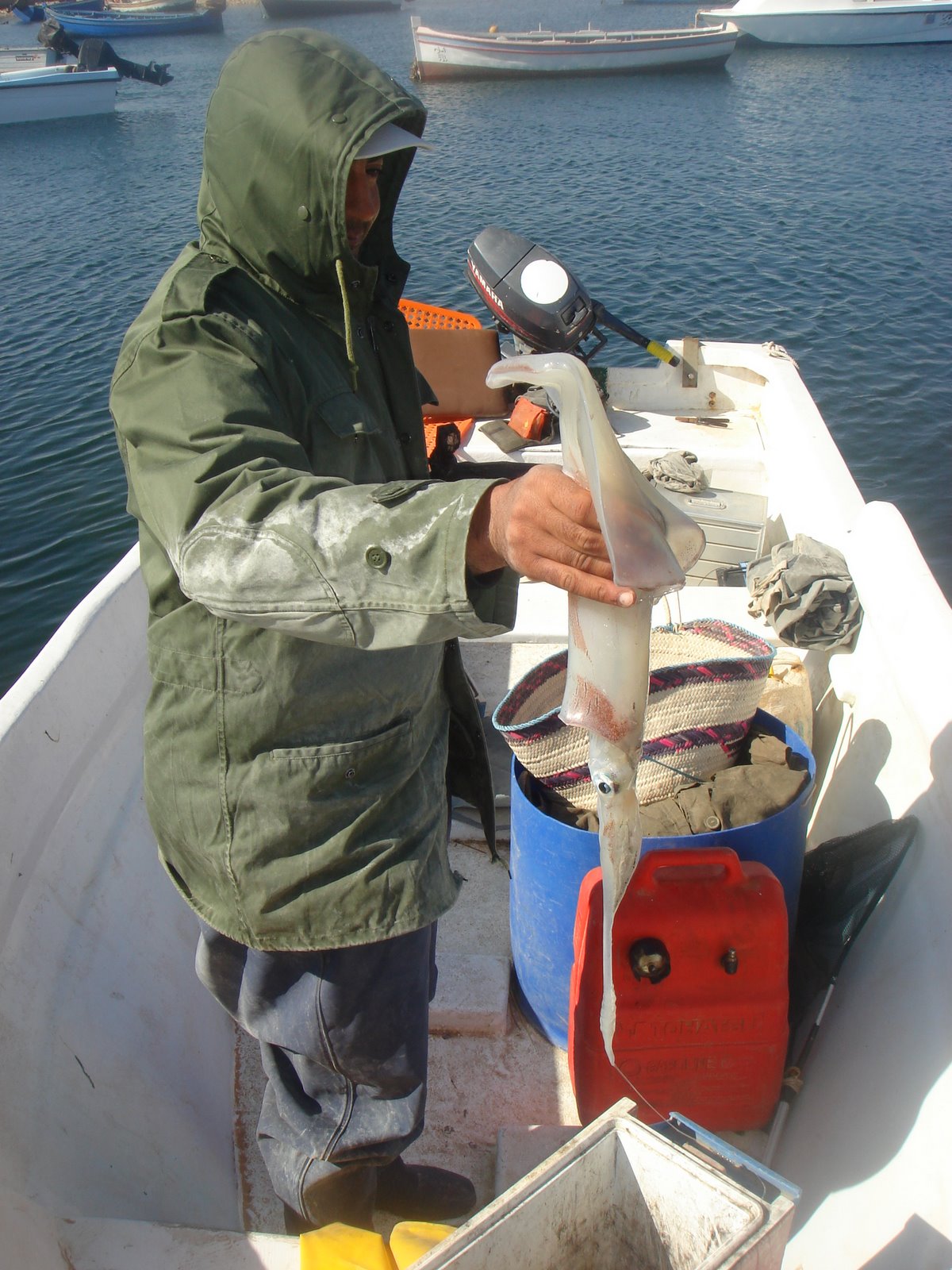 [DSC03464.JPG]