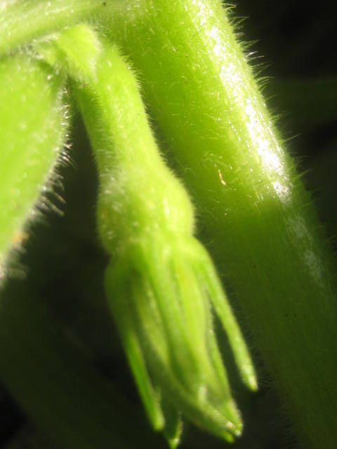 [IMG_4834.JPG]