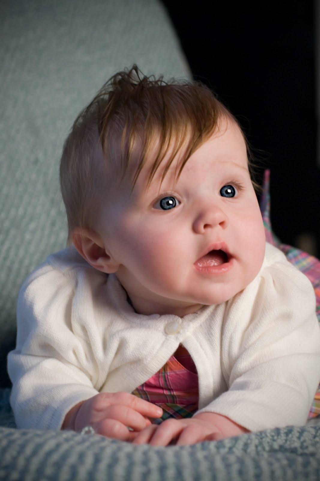 [17__DSC0120+COPY.JPG]