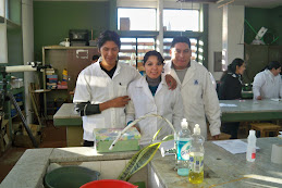 taller de laboratorio2009