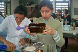 taller de laboratorio2009