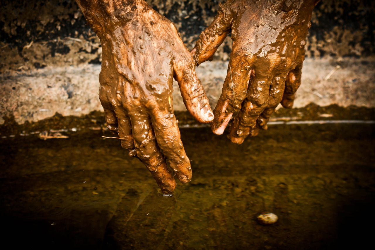 Science and Progress