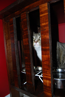 The Hamilton Family: Homemade Dog-Proof Cat Feeder!