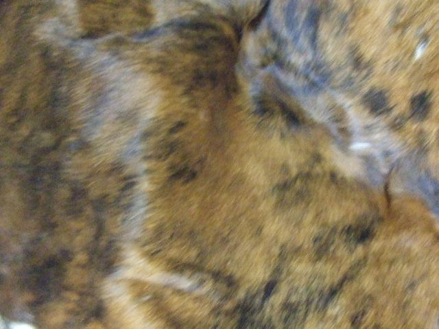 [2007_0922b0001.JPG]