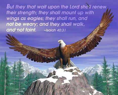 Soaring On The Wings Of An Eagle