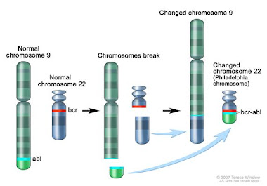 Philadelphia Chromosome