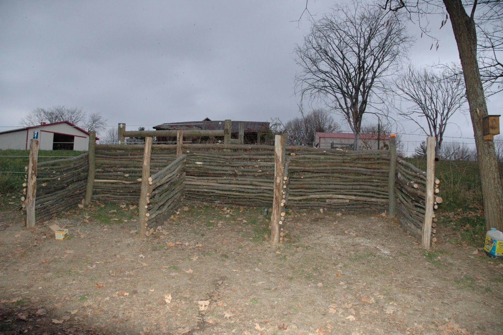 [DSC_0010.JPG]