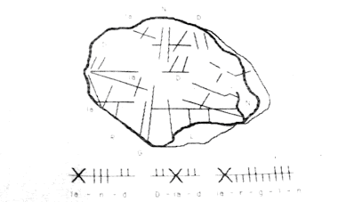 Transcription of the Iargalon Stone