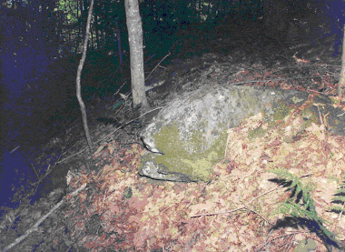 Lion Stone on top of High Hill near the Summer Slostice Stone