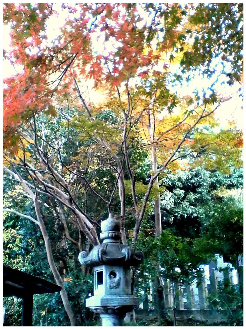 [TS2D0095.JPG]