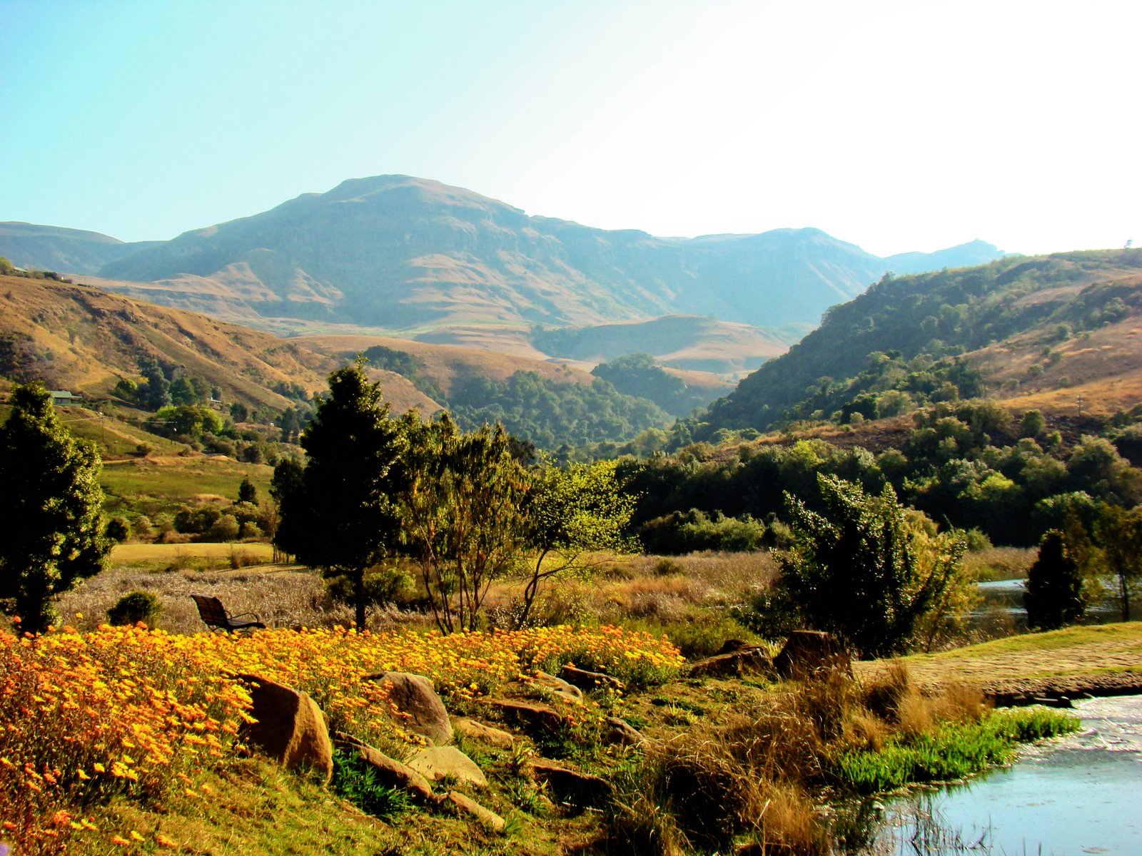 [mountainside2.JPG]