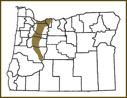 [wrightorum-range.jpg]