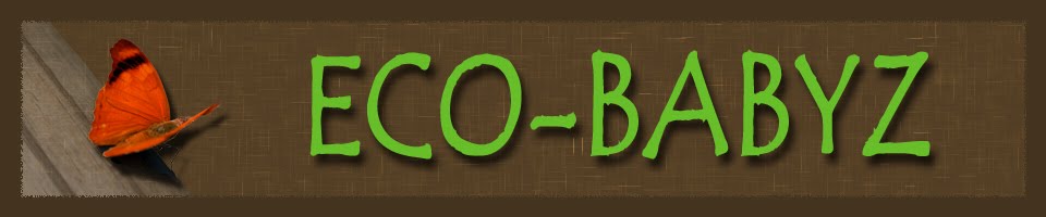 Eco-Babyz Boutique