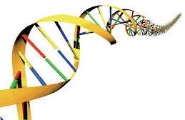 The Mysteri of DNA