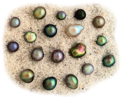 Pearls, one of natures most precious stones are made by oysters