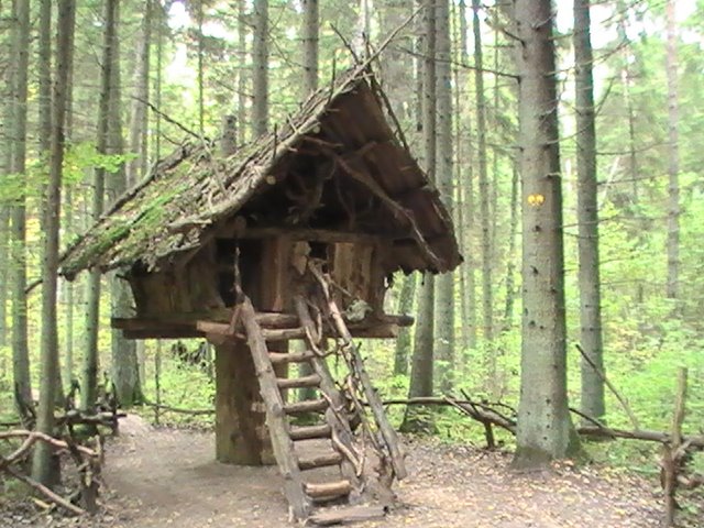 [PIC_0184.JPG]