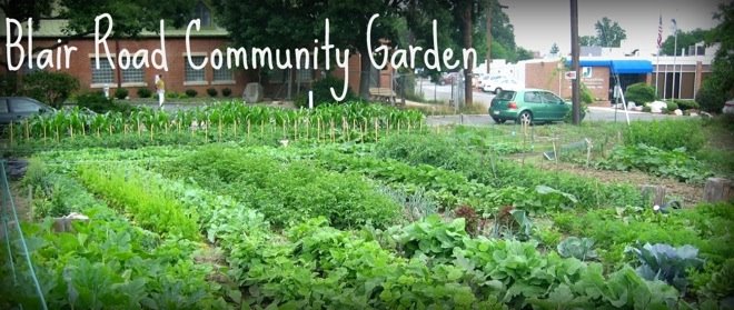 Blair Community Garden Rules And Regulations