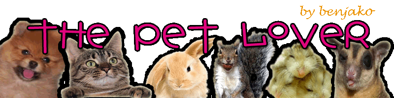 The pet lover