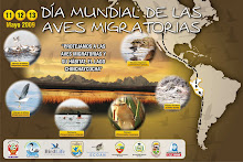 Día  Mundial de las  Aves  Migratorias -  lago Chinchaycoha