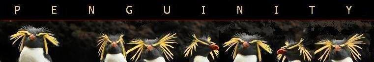 PENGUINITY