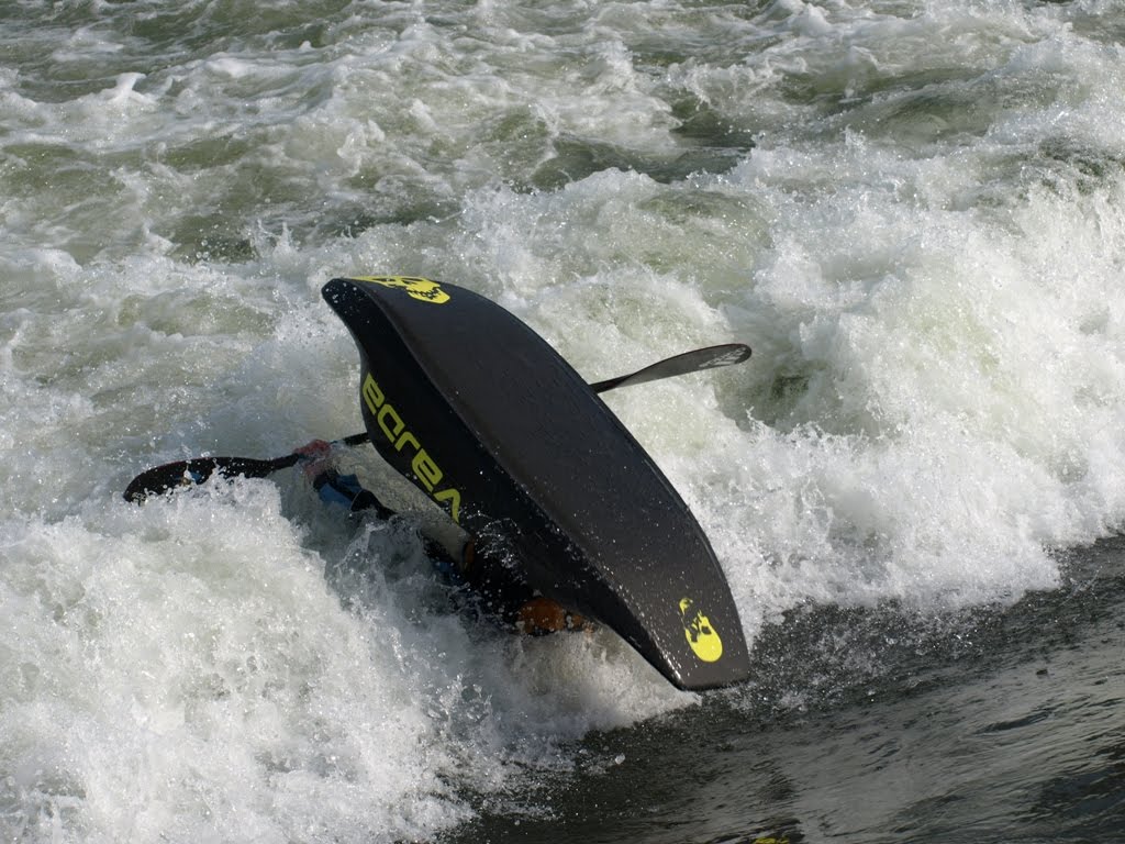 [P3189514.JPG]