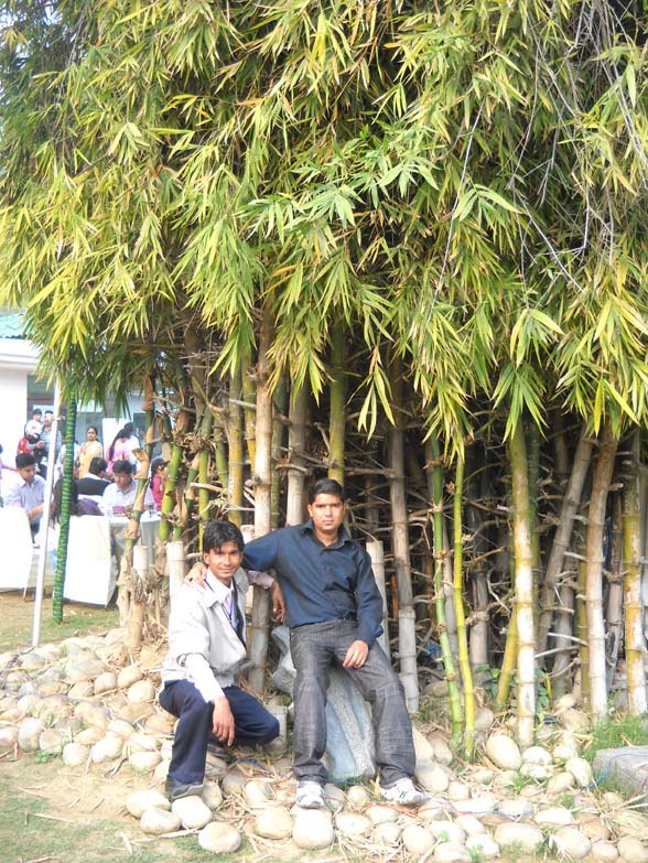 [JK_jitendra_kumar_Satyendra_Pal..jpg]