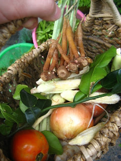 thai herbs basket