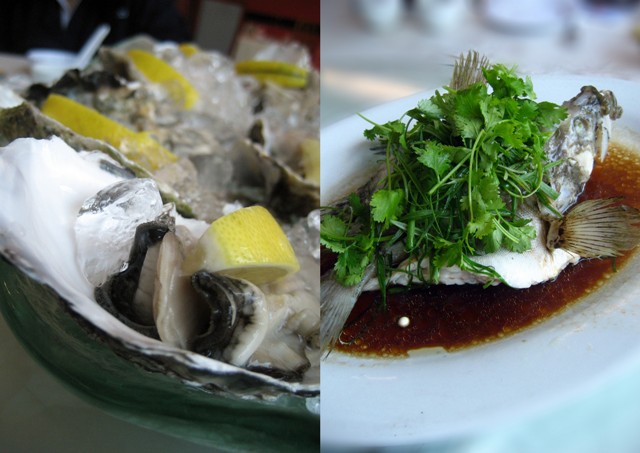 Fresh Oysters @ Jin Chwan Seafood Garden, Selayang