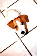 Our Doggie Child - Darla!