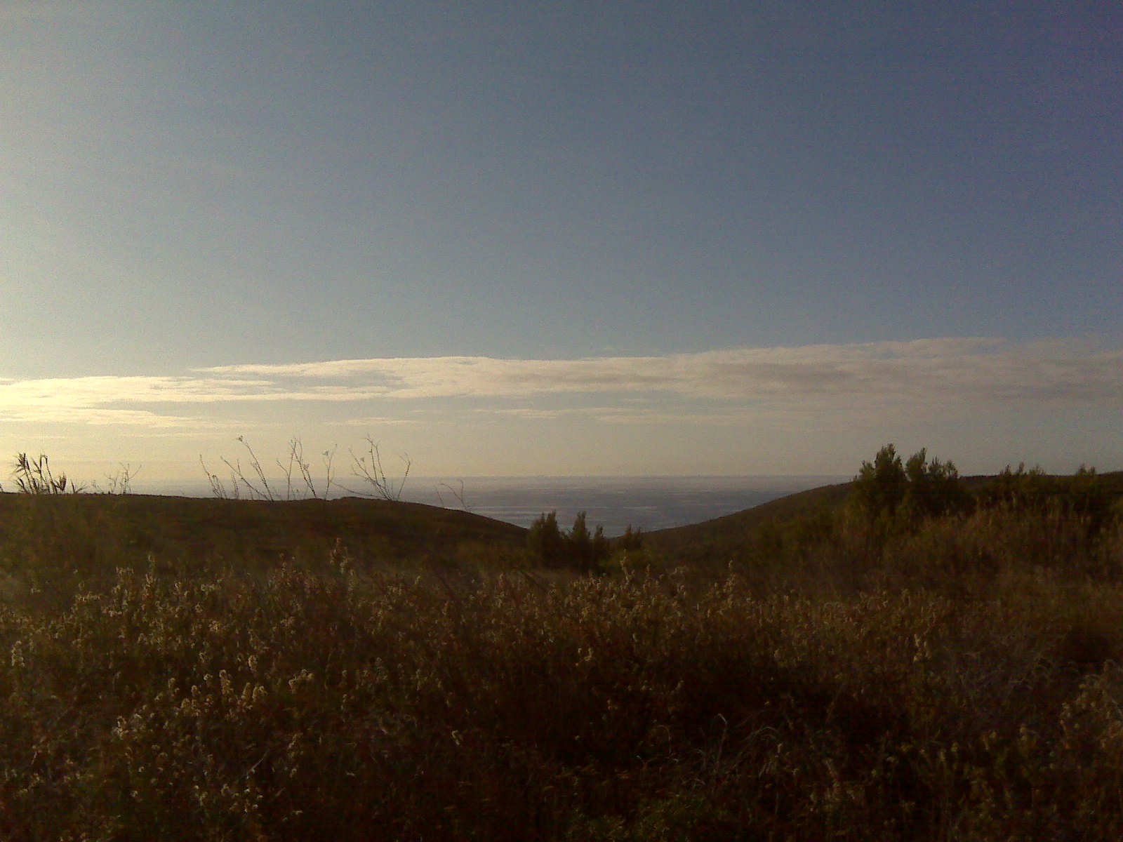 [IMG02816.jpg]