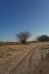 Cold Morning at the Pasture