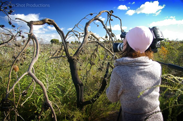 [Kristen+shooting+dieback.jpg]