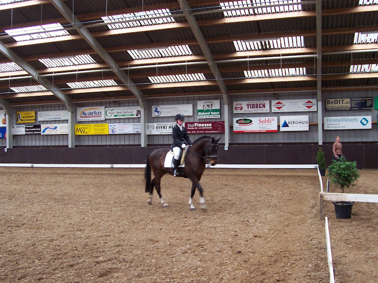 Ozzie L1 dressuur