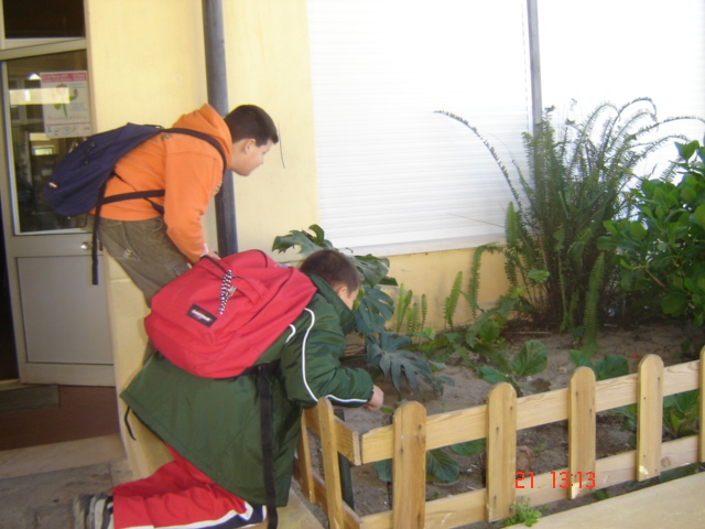 [DSC03632.JPG]