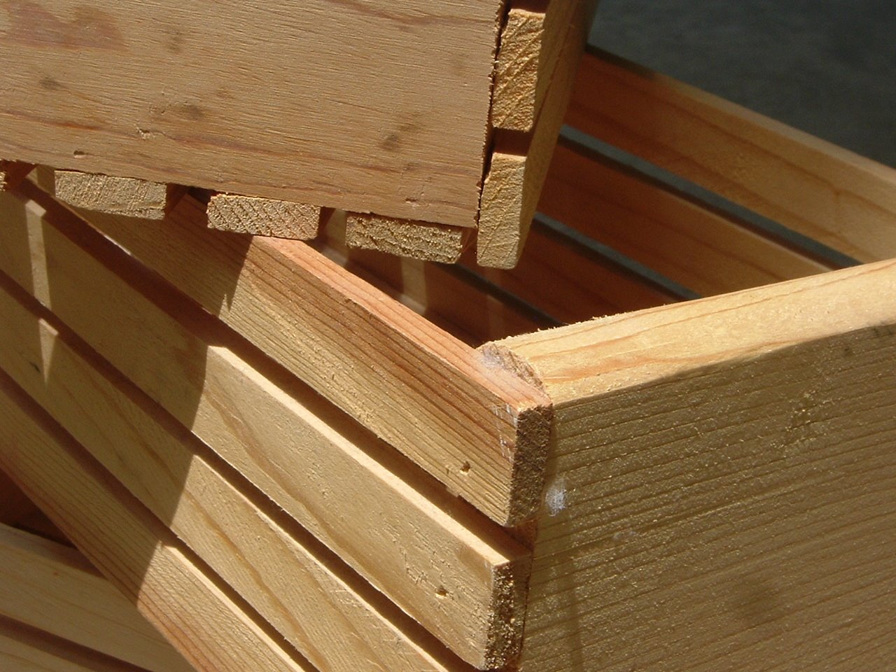 [Boxes+(Before)+2.JPG]