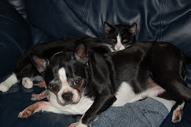 Maggie & Louie-ville