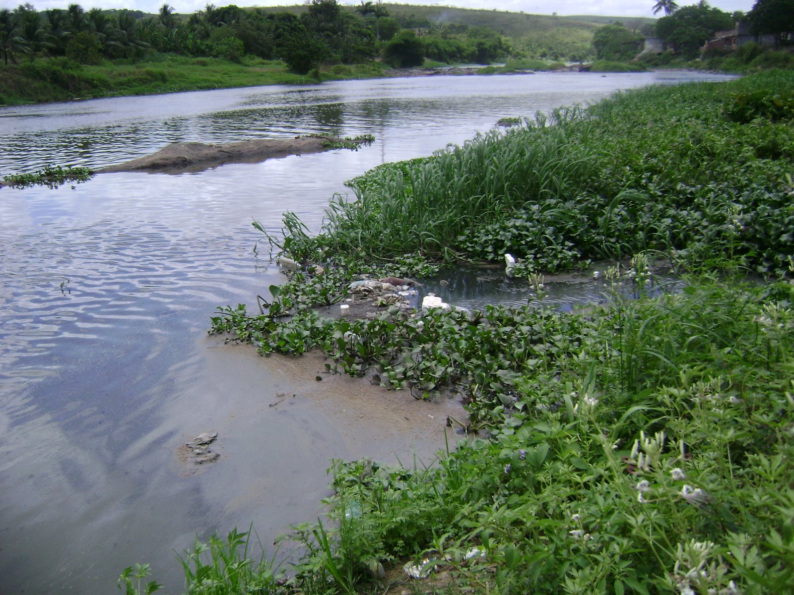 JORNAL MEIO AMBIENTE EM FOCO RIO UNA PRESERVAR É PRECISO