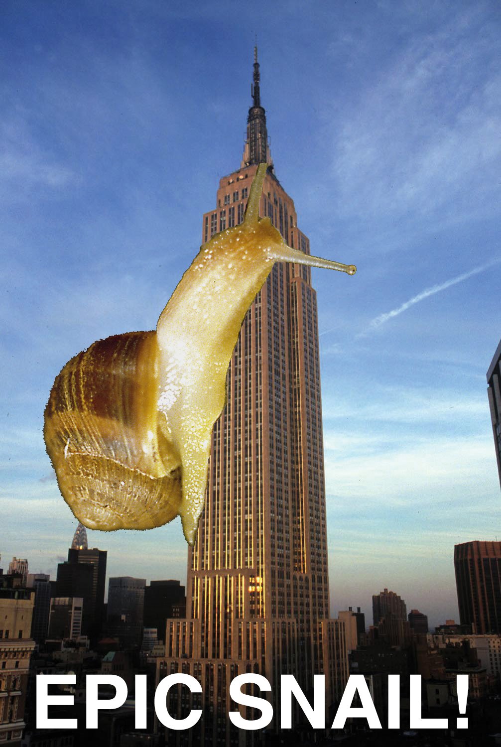 [epic+snail.jpg]