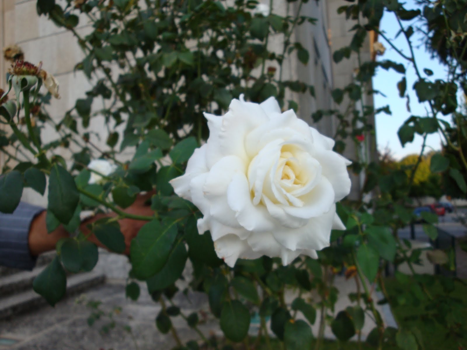[DSC00802.JPG]